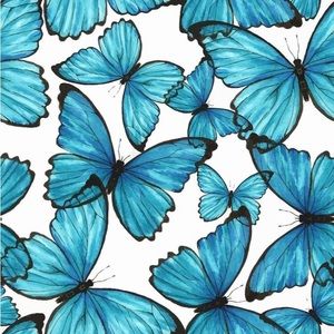 Meet your Posher, Kaylee